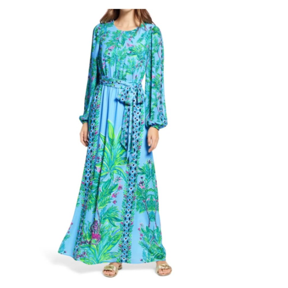 Chyanna Maxi Dress size 4 NWT